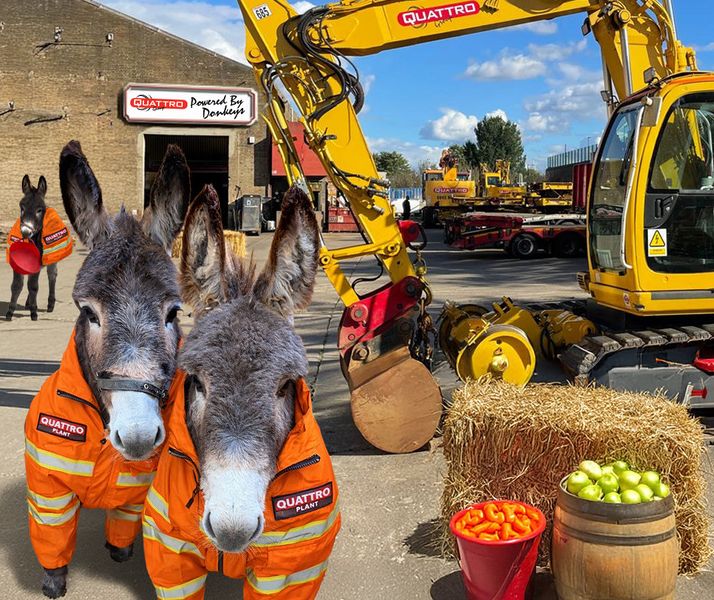 Q-PIGS STORIES Thumb