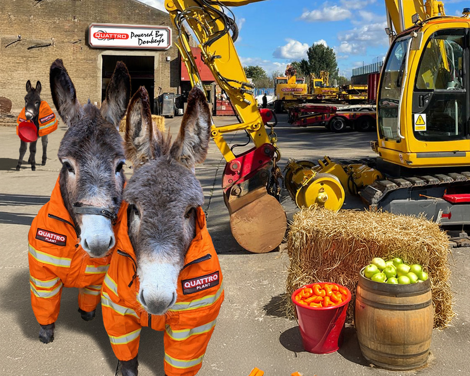 April Fools - Quattro Donkey Powered