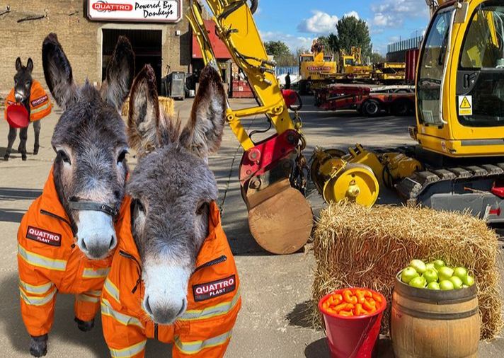 Q-PIGS STORIES Thumb