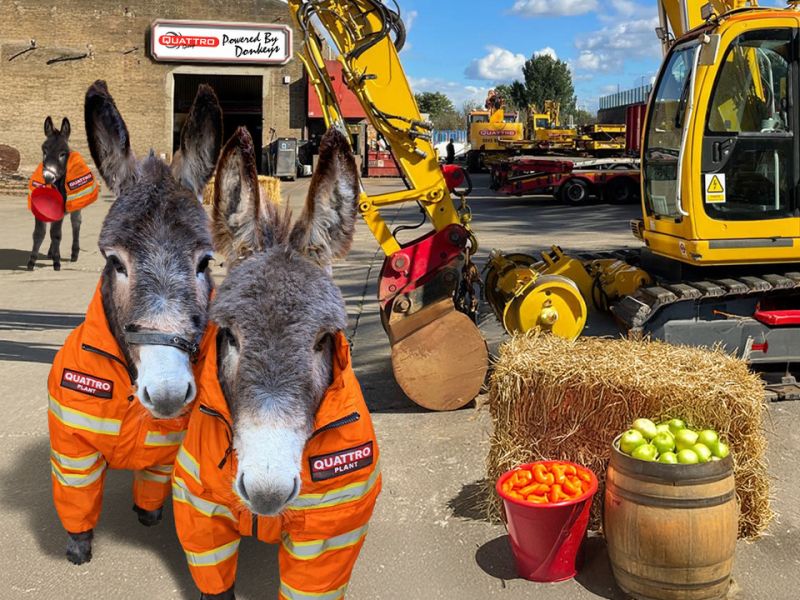 BREAKING: Quattro Plant Announces Transition from Diesel to Donkey Power Amid Price Surge