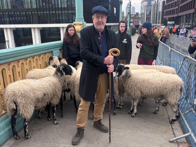 SHEAR DELIGHT ON SOUTHWARK BRIDGE